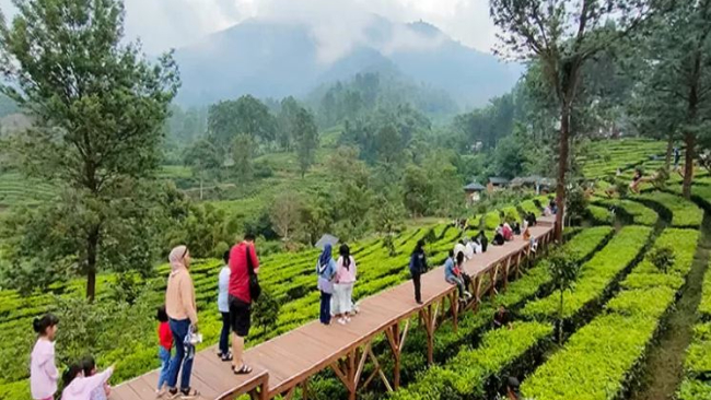Agro Wisata