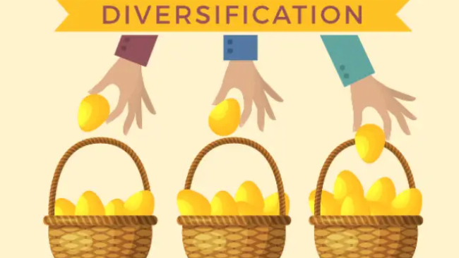 Apa Itu Diversifikasi?